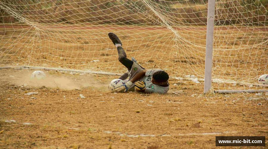 BSPORTS体育官方网站领跑者的选择，力量无限！